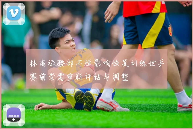 林高远腰部不适影响恢复训练世乒赛前景需重新评估与调整